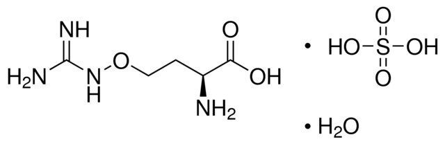 L-(+)-Canavanine sulfate salt monohydrate