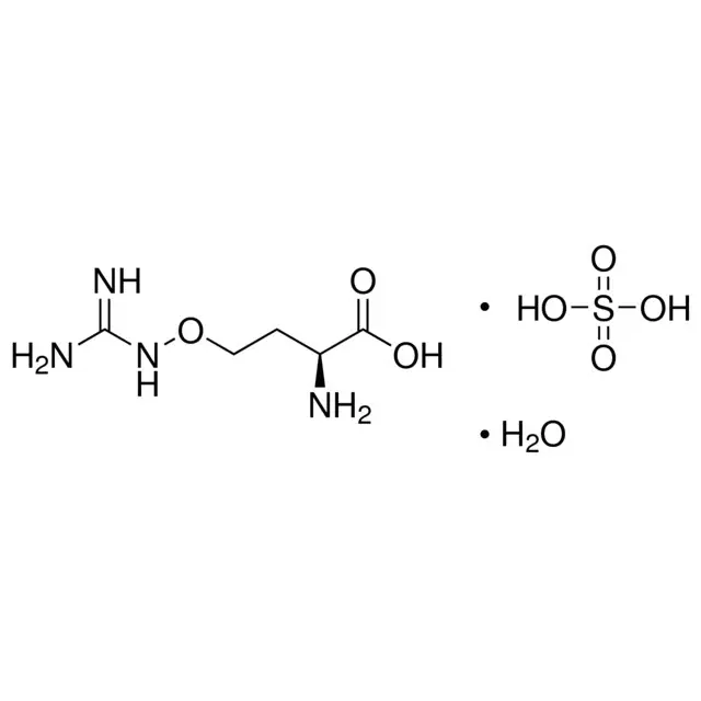 L-(+)-Canavanine sulfate salt monohydrate