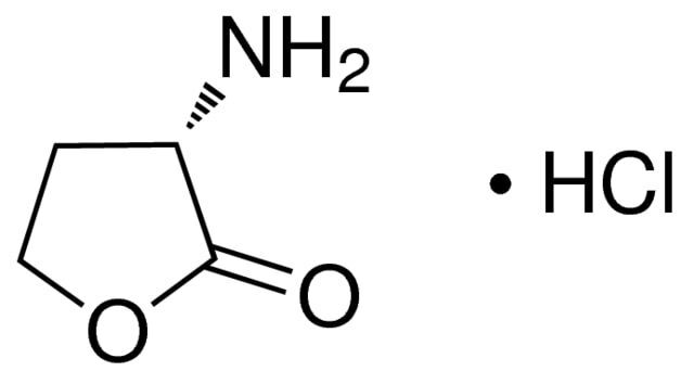(S)-α-Amino-γ-butyrolactone hydrochloride