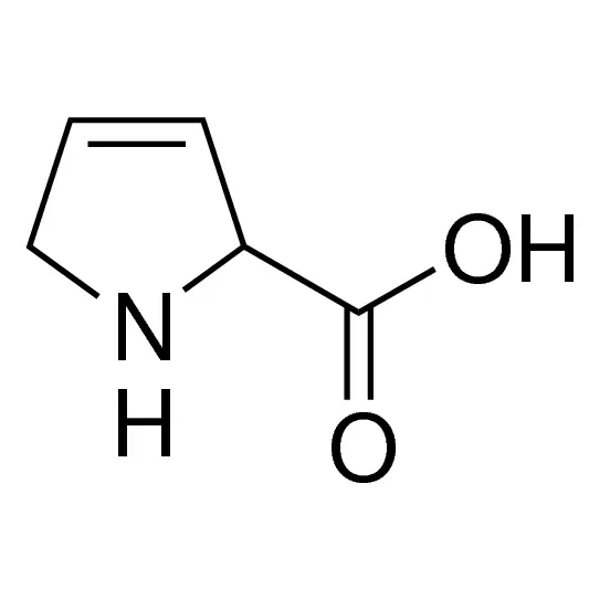 3,4-Dehydro-DL-proline