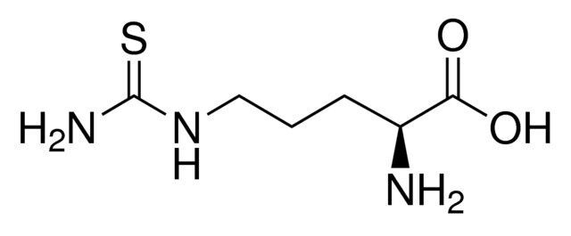 Thio-L-citrulline