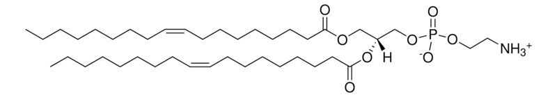 1,2-Dioleoyl-sn-glycero-3-phosphoethanolamine