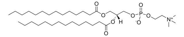 1,2-Dimyristoyl-sn-glycero-3-phosphocholine