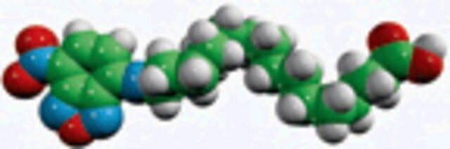 palmitic acid - NBD