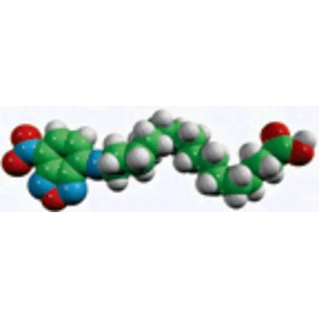 palmitic acid - NBD