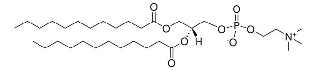 1,2-Didodecanoyl-sn-glycero-3-phosphocholine