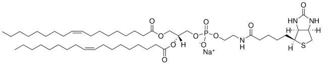 18:1 Biotinyl PE