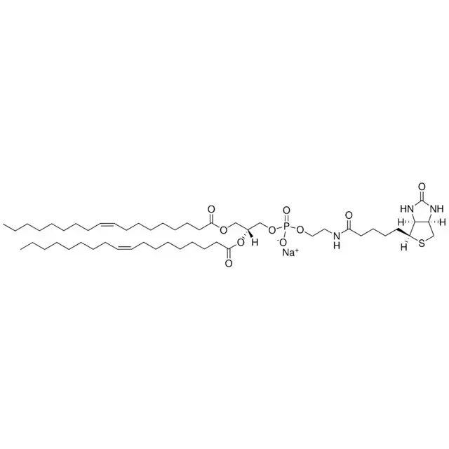 18:1 Biotinyl PE
