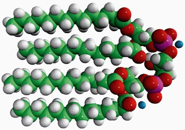14:0 Cardiolipin (ammonium salt)