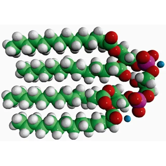 14:0 Cardiolipin (ammonium salt)
