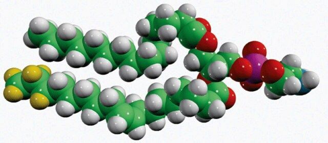 15:0-18:1-d7-PE