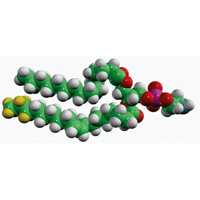 15:0-18:1-d7-PE
