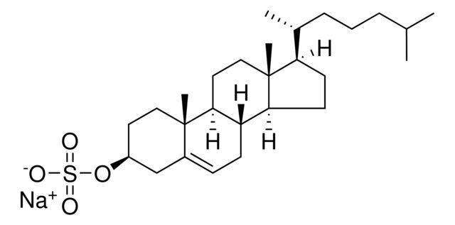 cholesterol sulfate