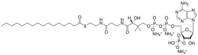16:0 Coenzyme A