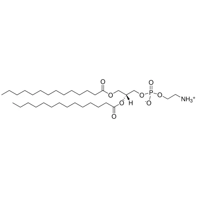 1,2-Dimyristoyl-sn-glycero-3-phosphoethanolamine