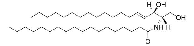 Ceramide (Brain)
