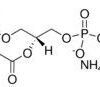 DSPE-PEG(2000) Maleimide
