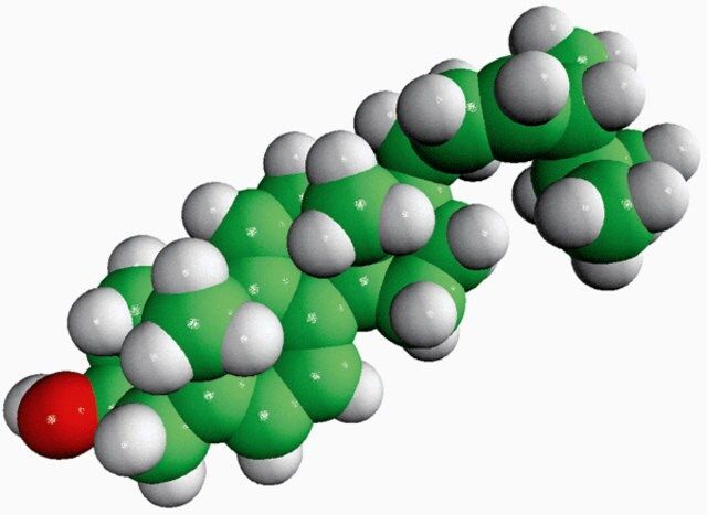 dehydroergosterol (DHE)