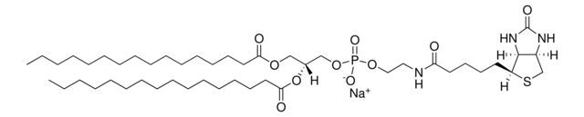 16:0 Biotinyl PE