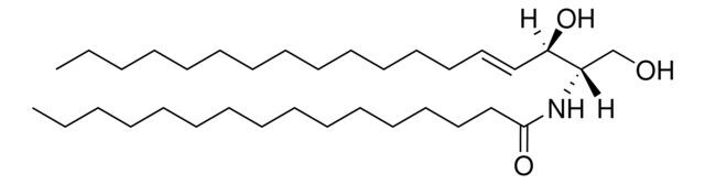 Ceramide (Egg)