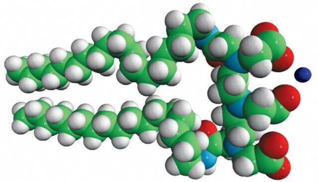 DTPA-BSA (Gd)