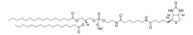 16:0 Biotinyl Cap PE