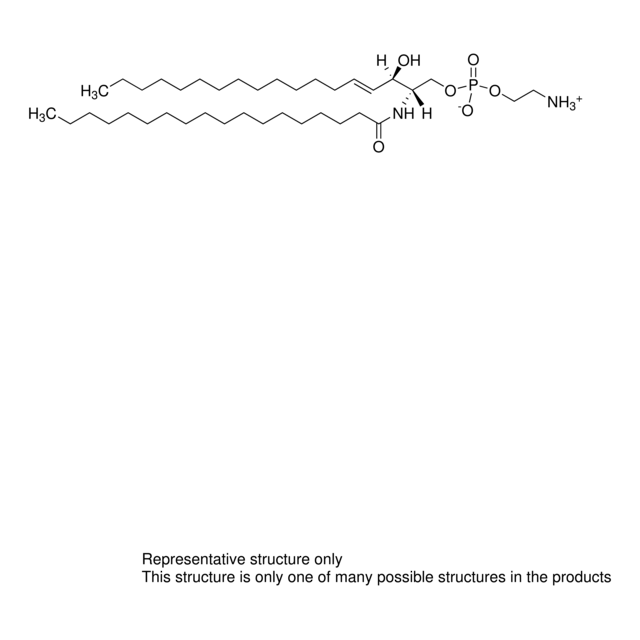 Brain CPE