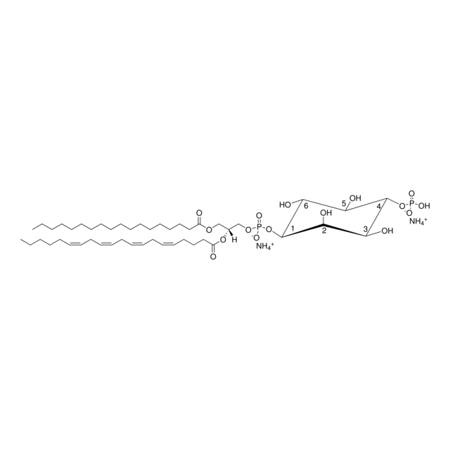 Brain PI(4)P