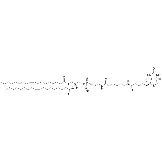18:1 Biotinyl Cap PE