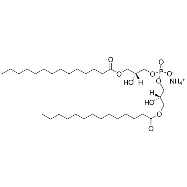 14:0 BMP (S,R)