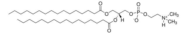 16:0 Dimethyl PE