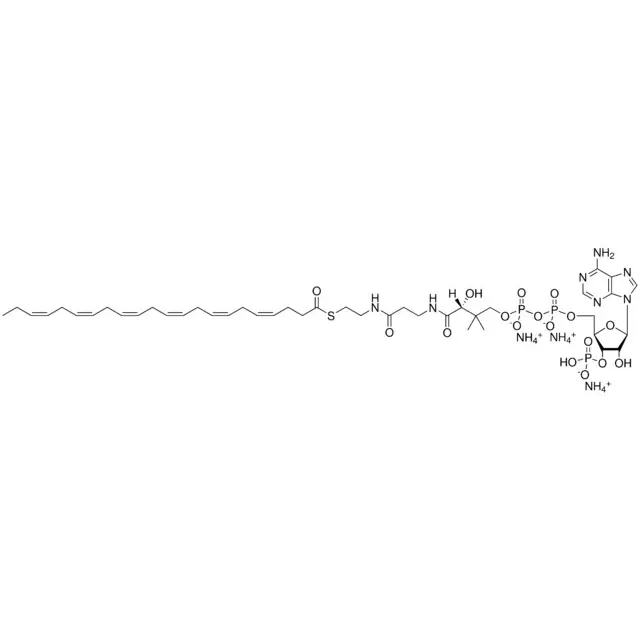 22:6 Coenzyme A