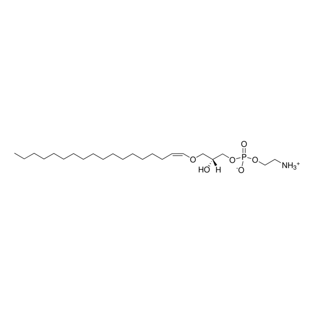 Brain Lyso PE