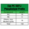 Egg PC (60%)