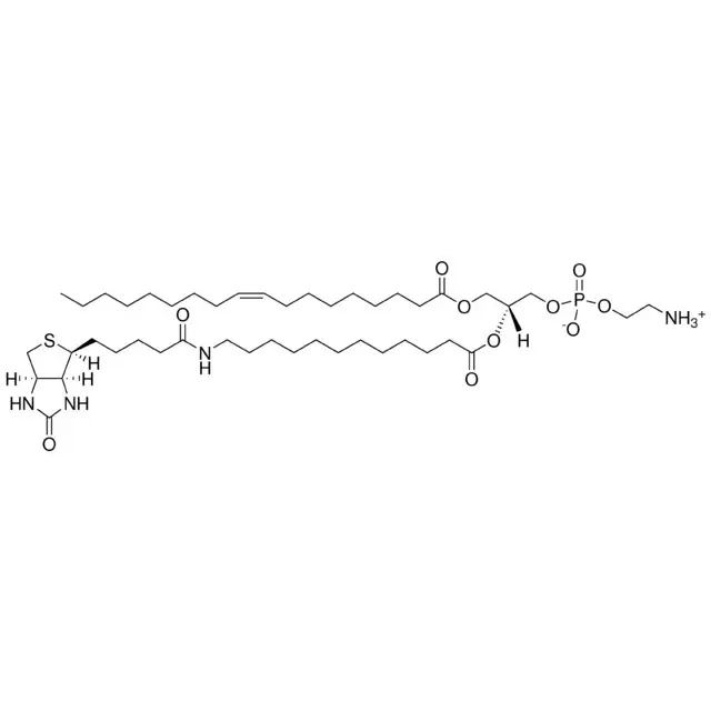 18:1-12:0 Biotin PE