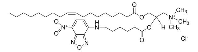 Fluorescent DOTAP