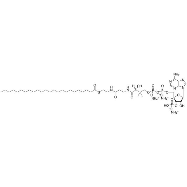 24:0 Coenzyme A