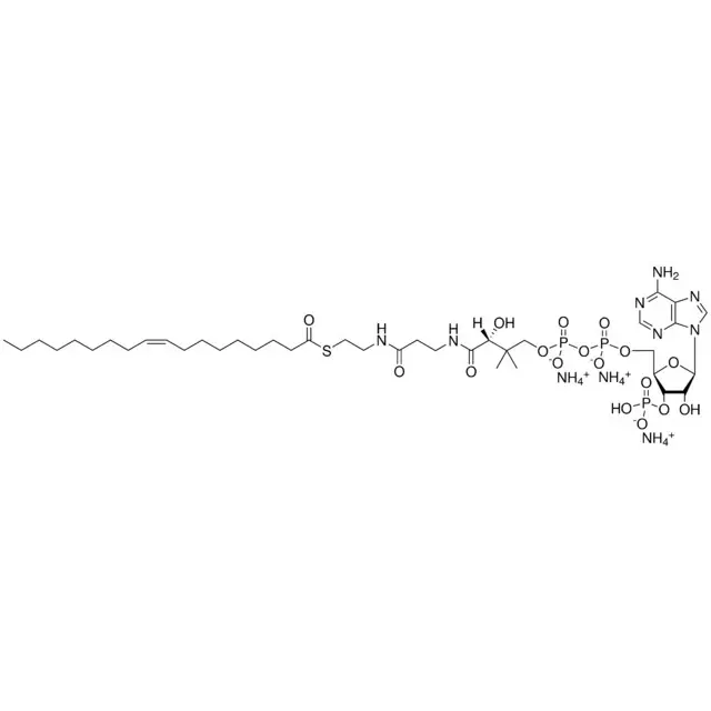 18:1 (n9) Coenzyme A