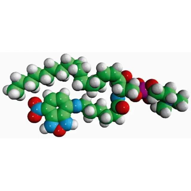 C6-NBD Sphingomyelin