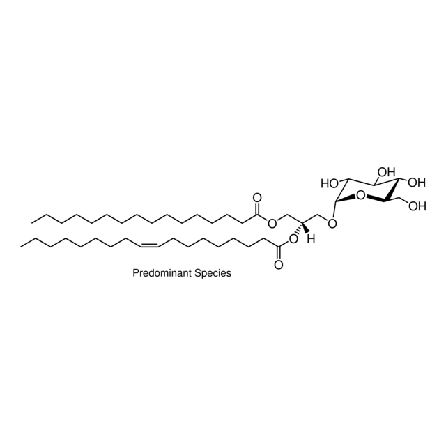 MGlc-DAG