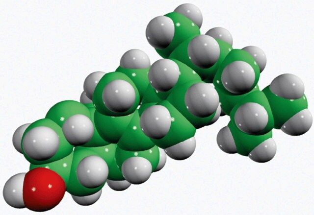 zymostenol