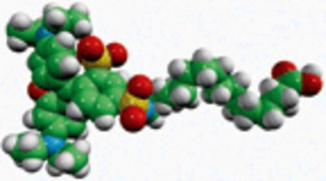 palmitic acid - lissamine rhodamine