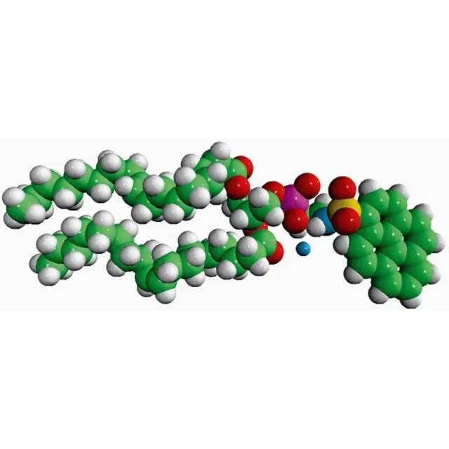 18:1 Pyrene PE