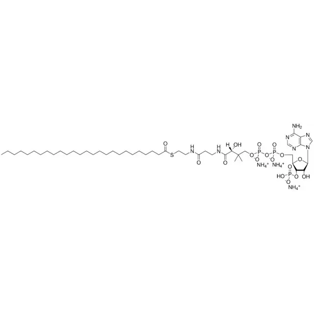 26:0 Coenzyme A