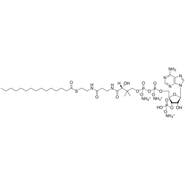 15:0 Coenzyme A