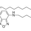 Fluorescent DOTAP