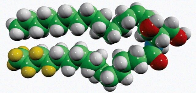 CER2(d9)