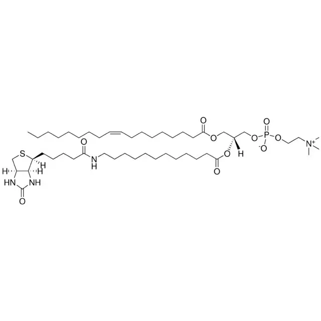 18:1-12:0 Biotin PC