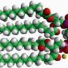 14:0 Cardiolipin (sodium salt)
