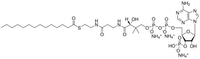 14:0 Coenzyme A